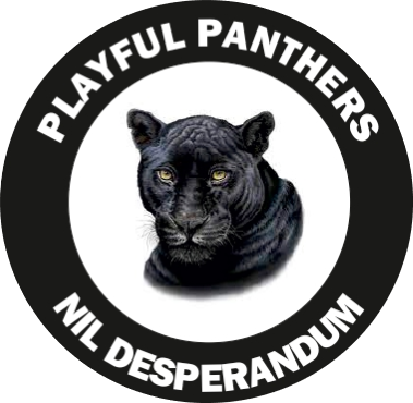Playful Panthers